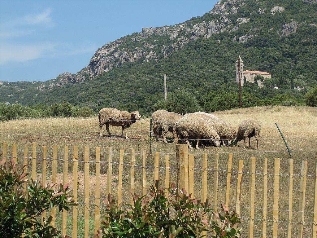 Clos Simoni Figari  Exterior foto