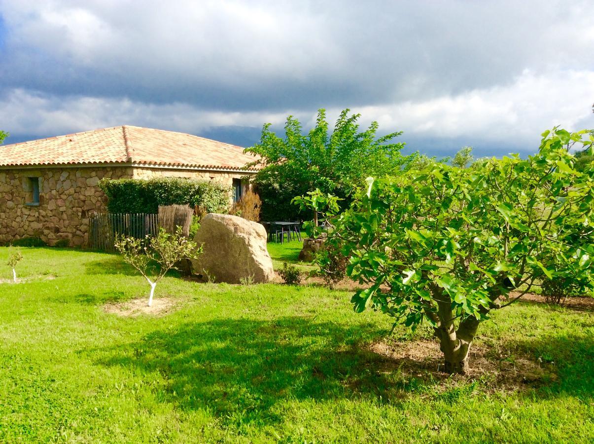 Clos Simoni Figari  Exterior foto